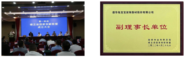 德华兔宝宝
